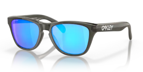Modelo relacionado y/o destacado: Oakley Frogskins Xxs OJ 9009-900902. La Óptica Online 