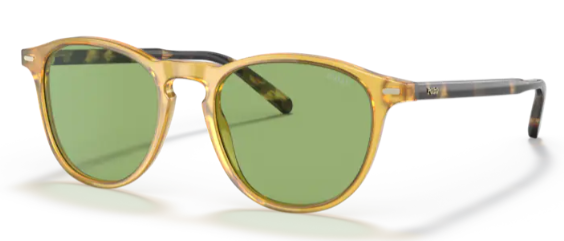 Comprar online gafas Polo Ralph Lauren PH 4181-5005 2 en La Óptica Online